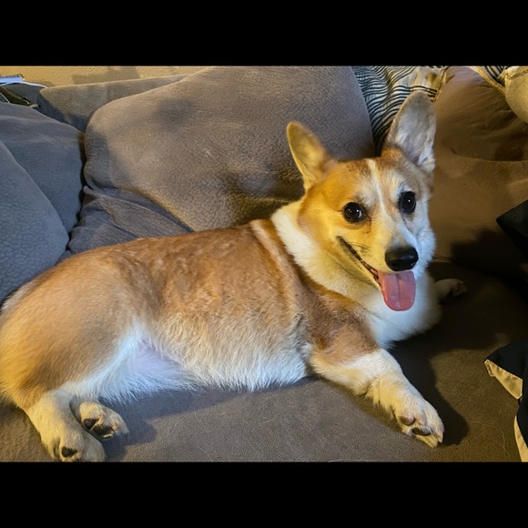 Meet the Posher - Picture 7 of 10